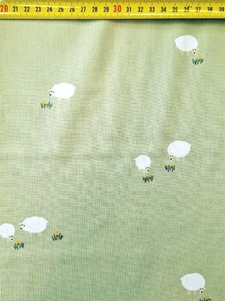 Schaap