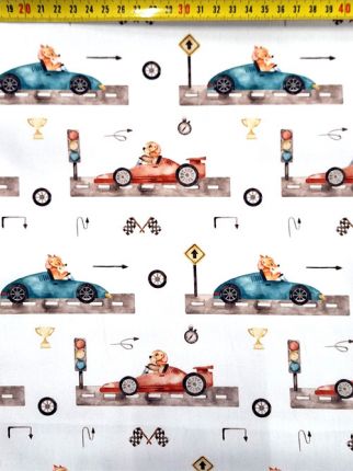 Racing dogs